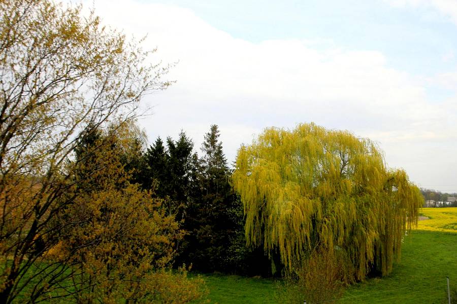 Foto: Herbstlandschaft in Sachsen (C) Fotograf Uwe Letzel / Leipzig